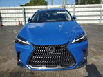 Lexus NX 2022
