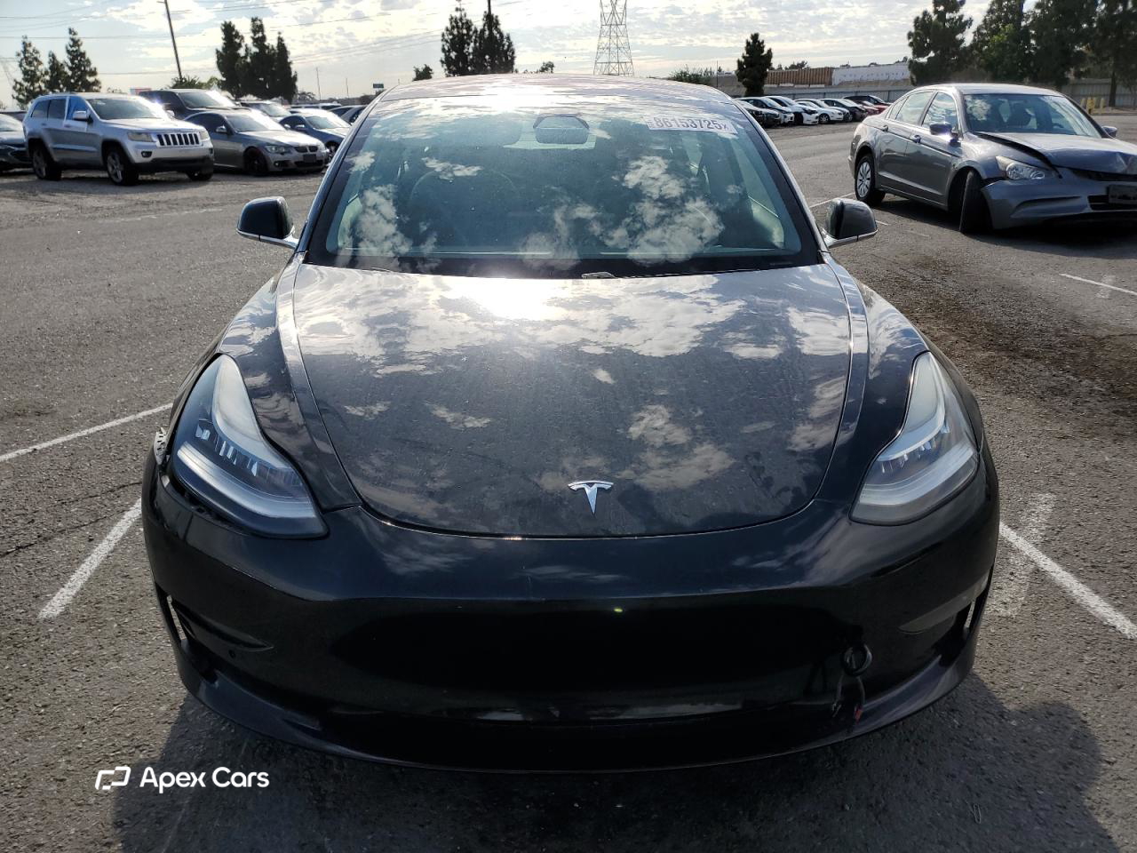 Tesla Model 3 2019