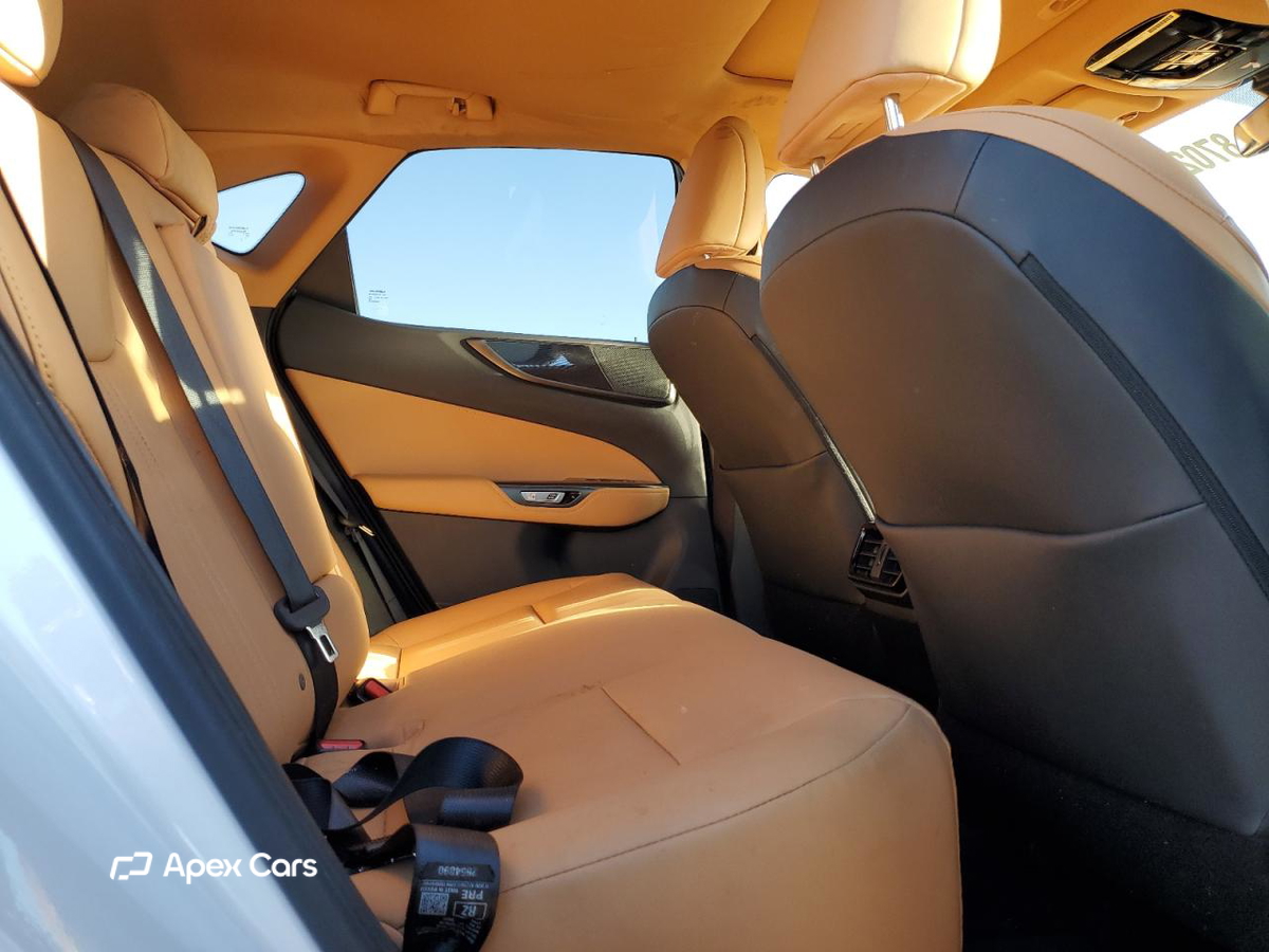 Lexus NX 2024