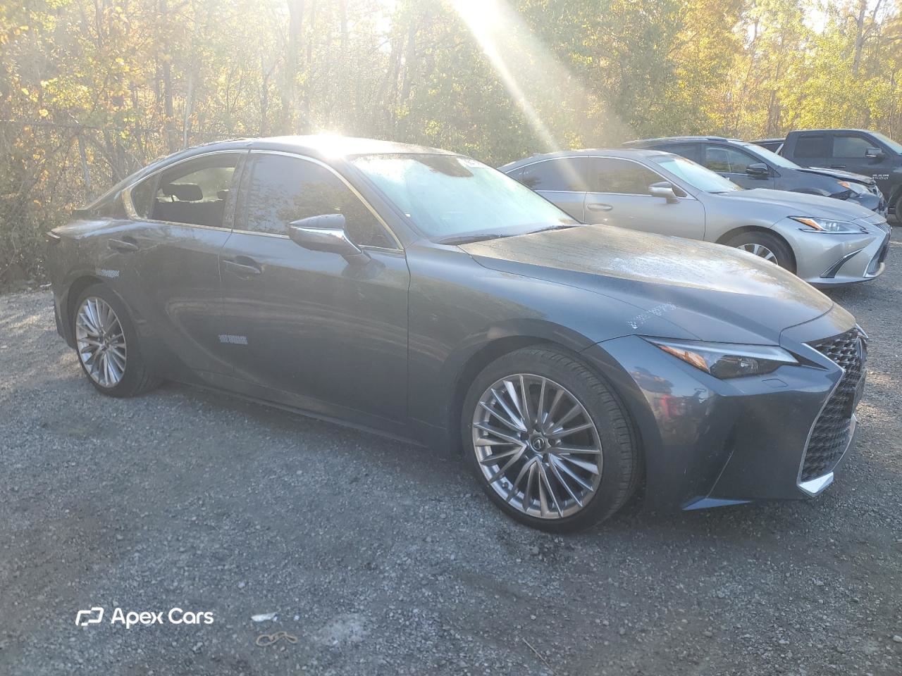 Lexus IS 2021