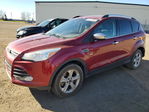 Ford Escape 2015
