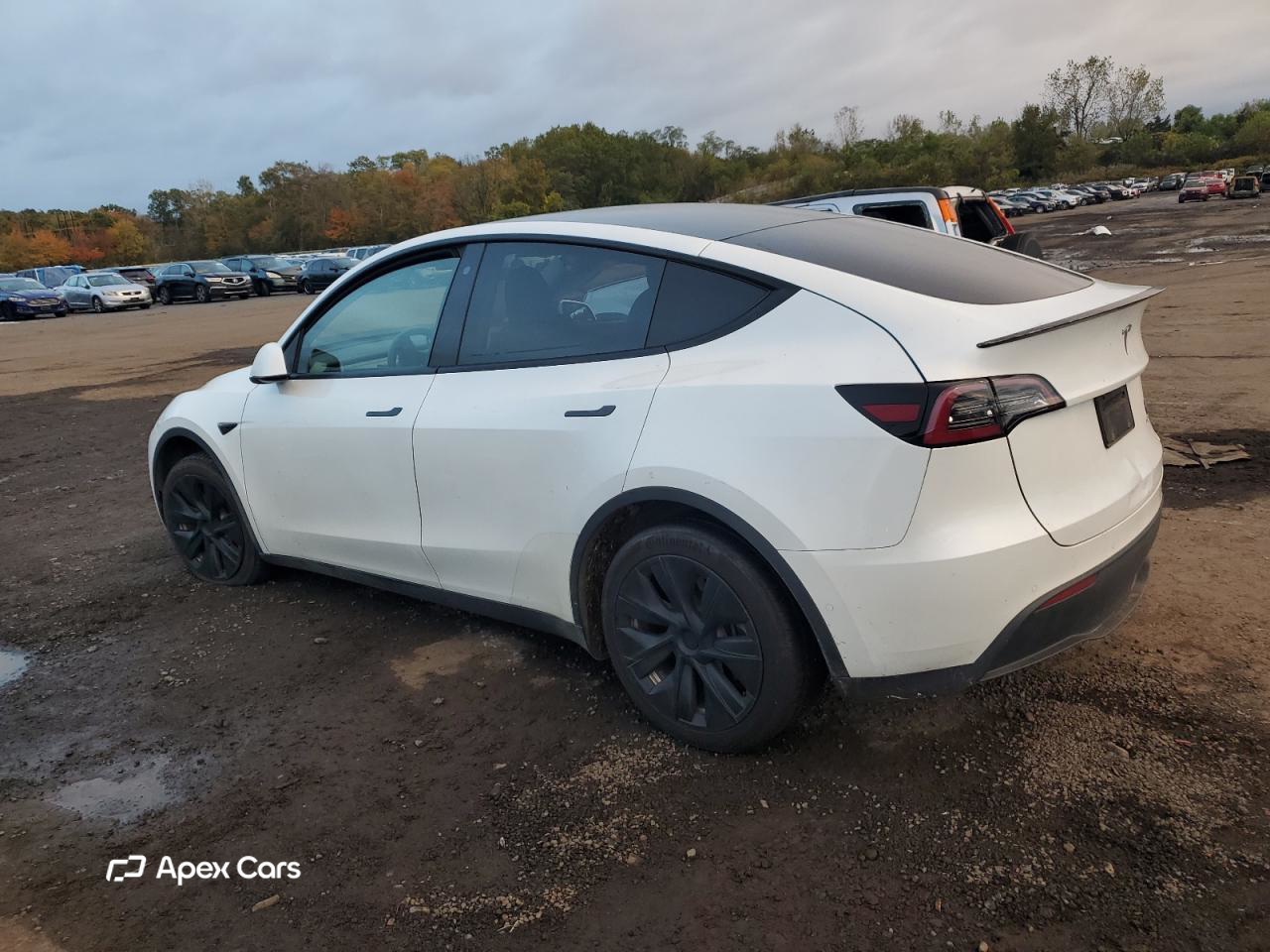 Tesla Model Y 2020