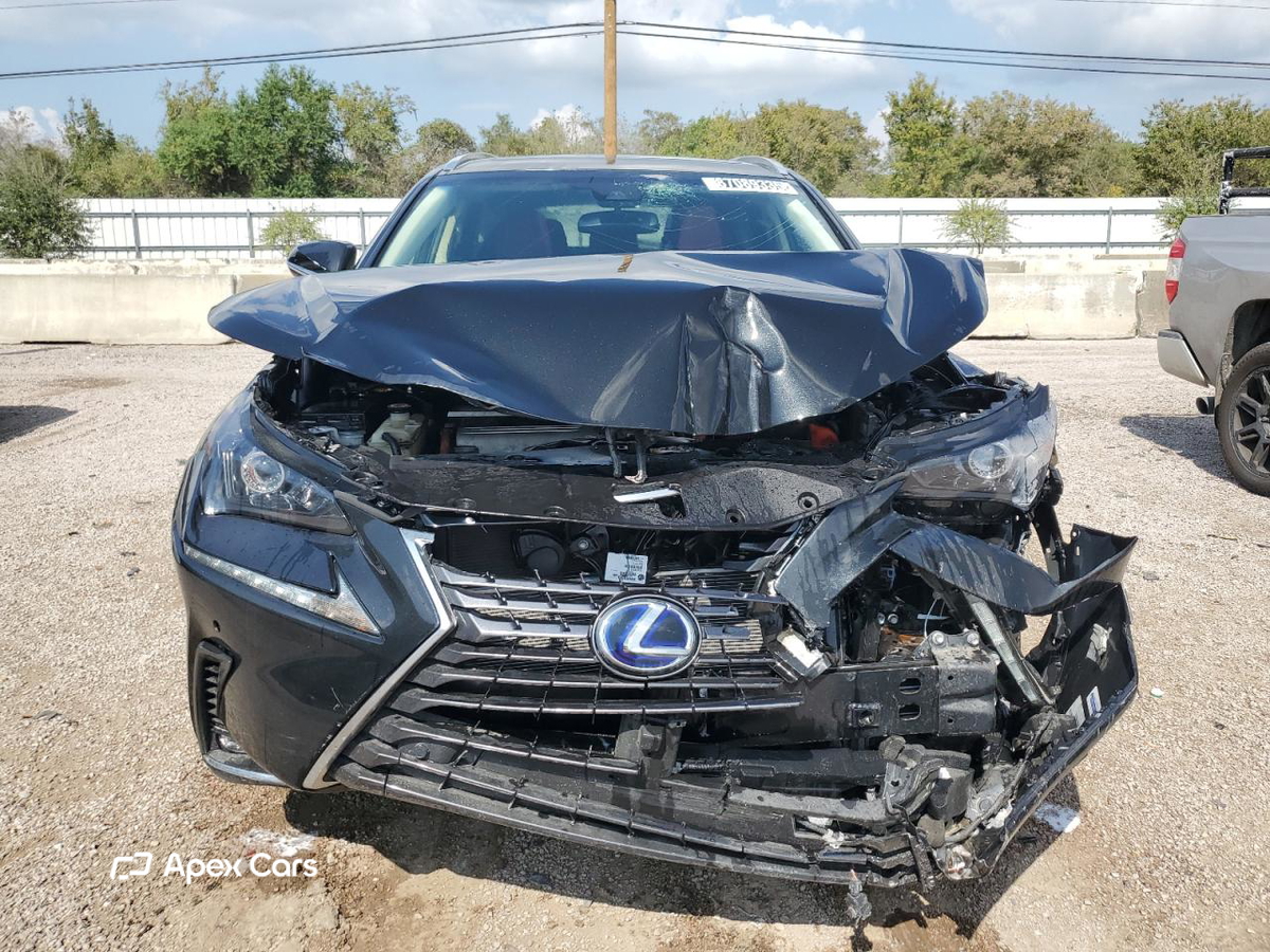 Lexus NX 2019