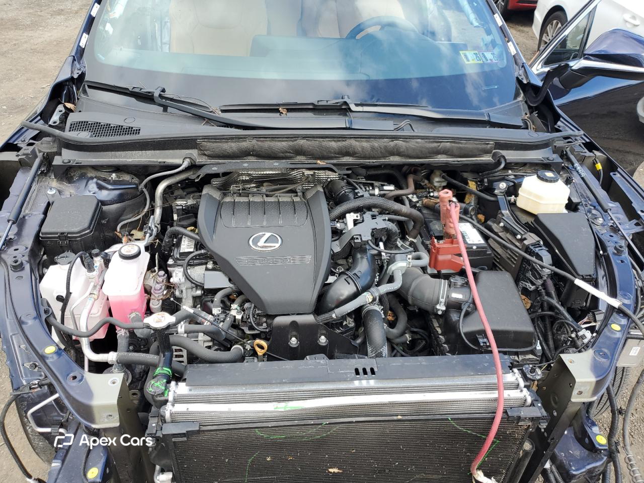 Lexus RX 2024