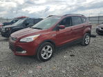 Ford Escape 2015