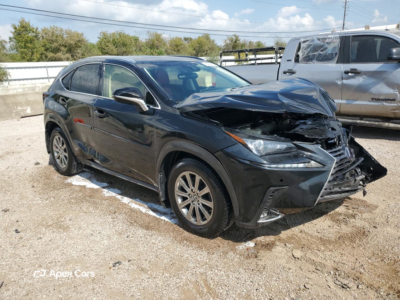 Lexus NX 2019