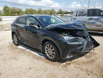 Lexus NX 2019