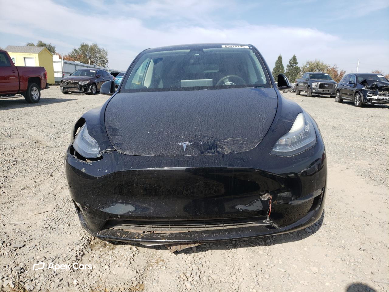 Tesla Model Y 2021
