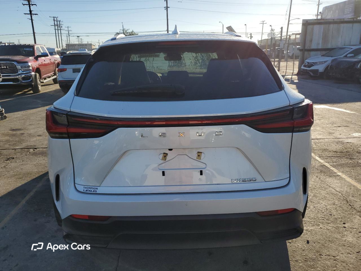 Lexus NX 2024