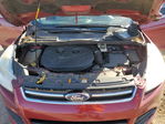 Ford Escape 2014
