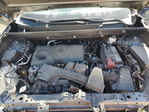 Toyota RAV 4 2023