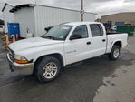Dodge Dakota 2001