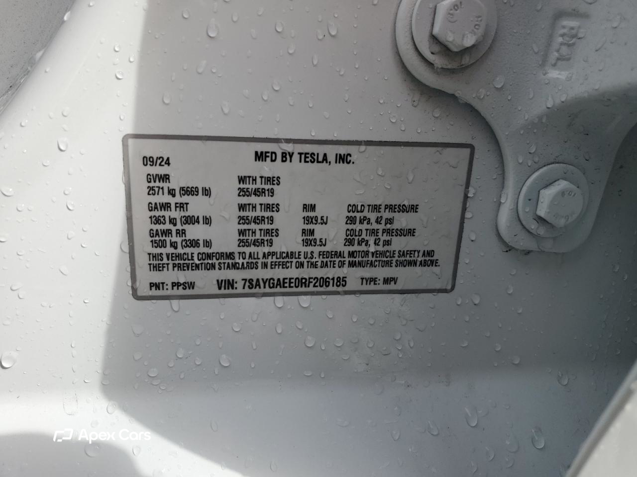 Tesla Model Y 2024