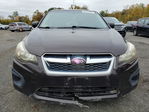 Impreza 2013