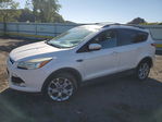 Ford Escape 2013