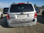 Ford Escape 2011