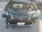 Lexus ES 2020