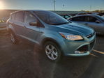 Ford Escape 2013