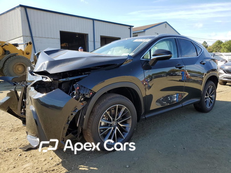 Lexus NX 2025 - Image 1 of 13