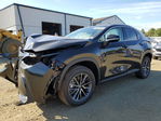 Lexus NX 2025