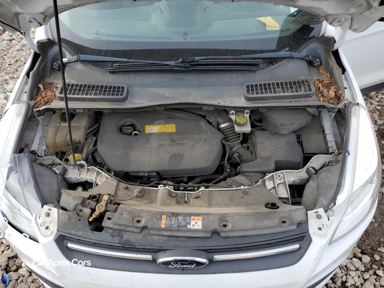 Ford Escape 2015