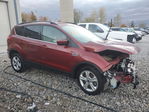 Ford Escape 2015