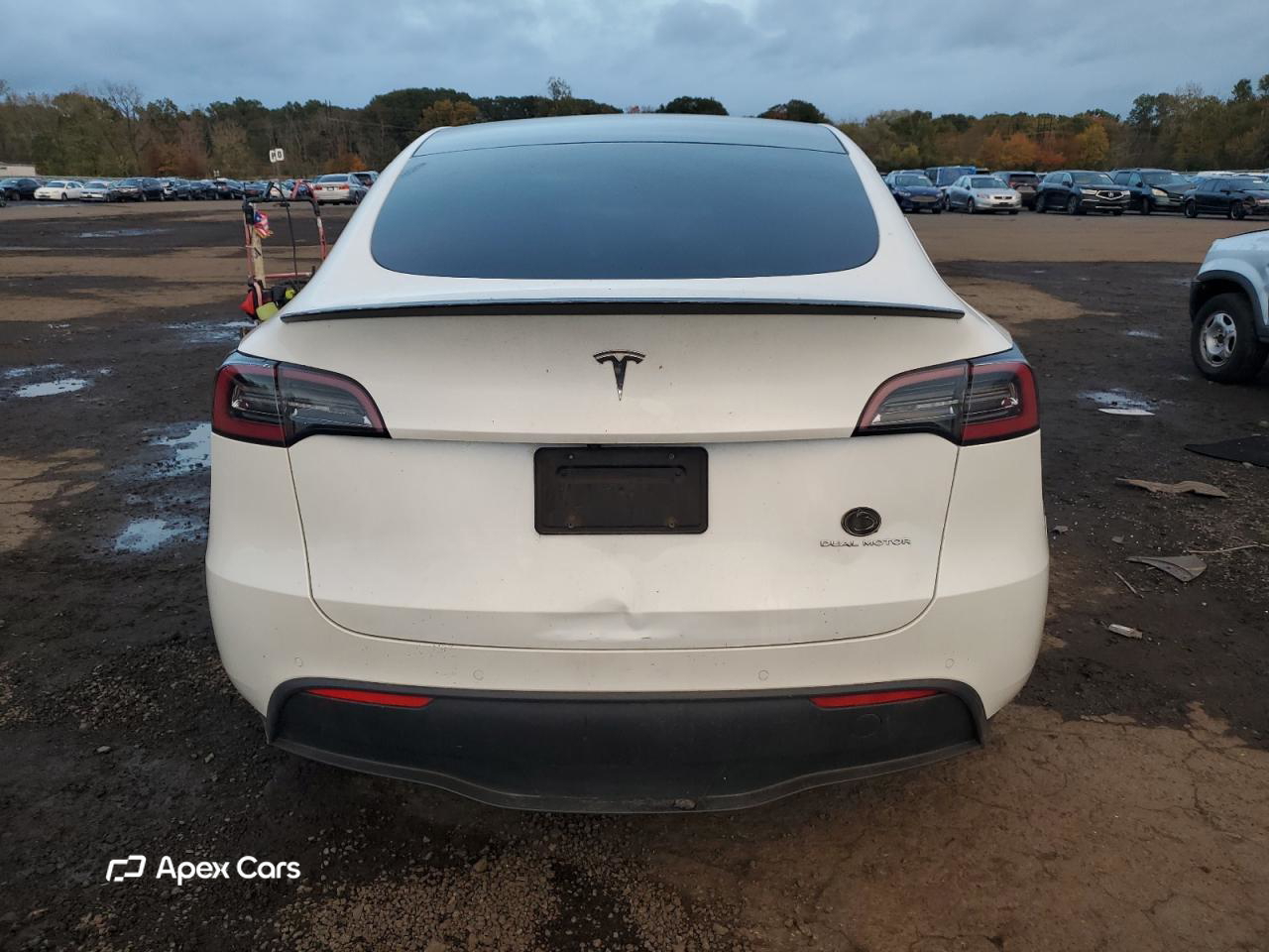 Tesla Model Y 2020