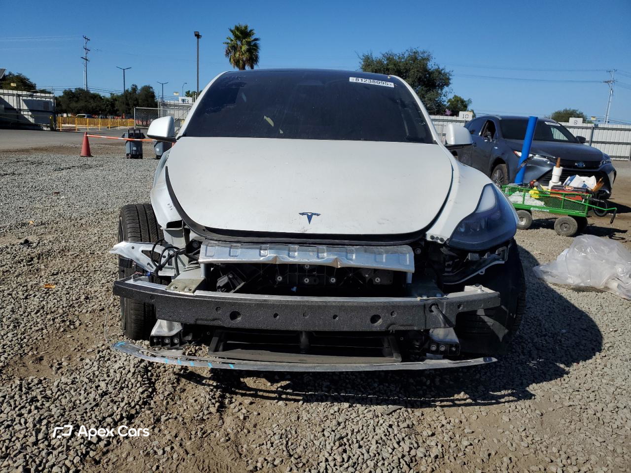 Tesla Model Y 2024