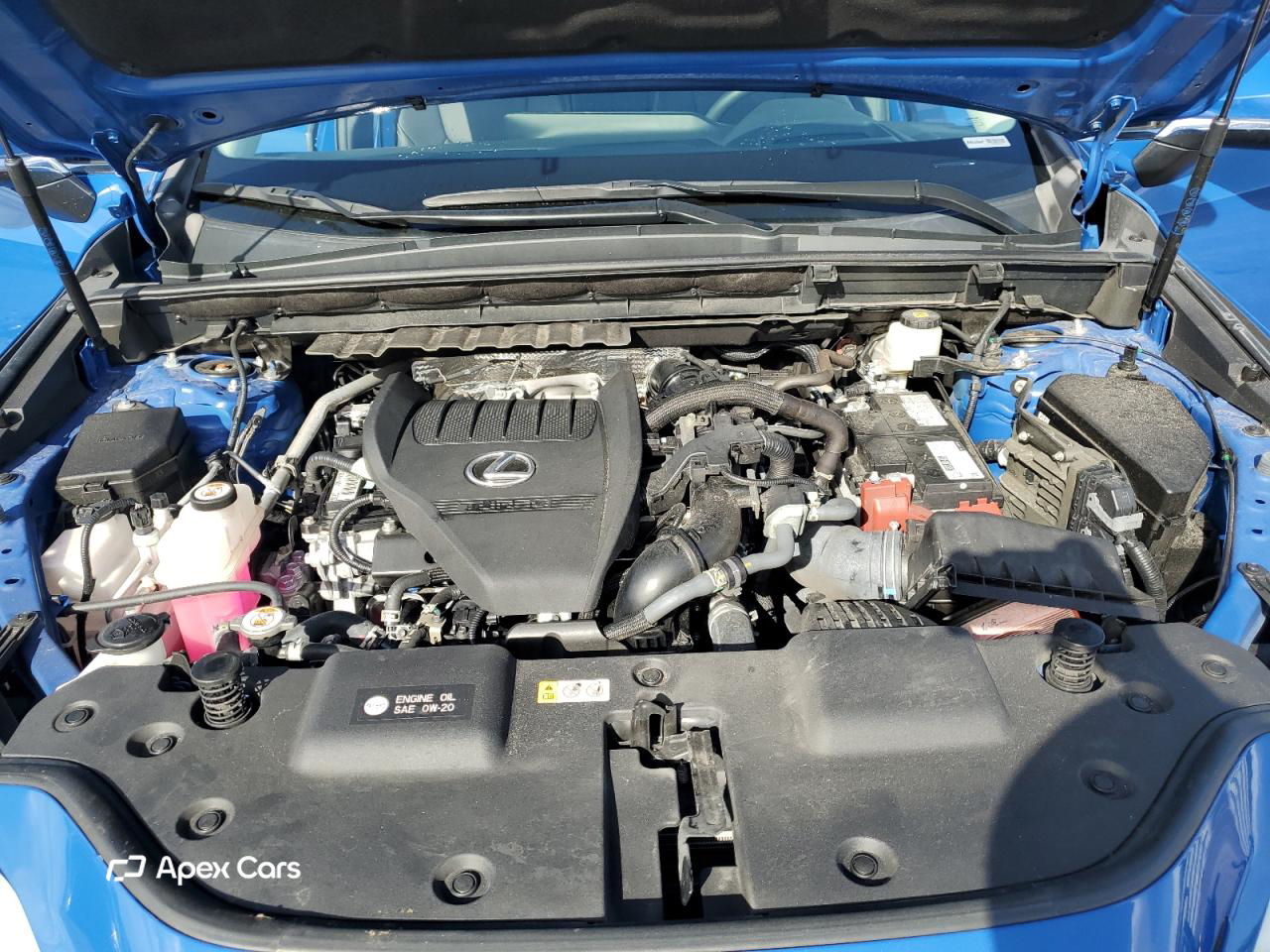 Lexus NX 2022