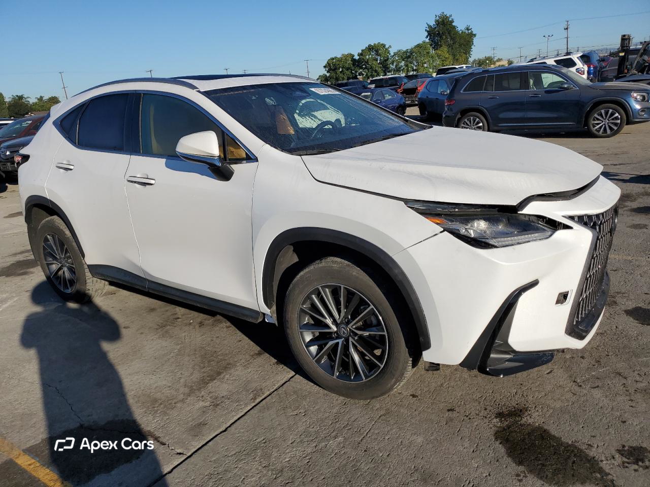 Lexus NX 2024