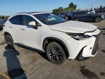 Lexus NX 2024