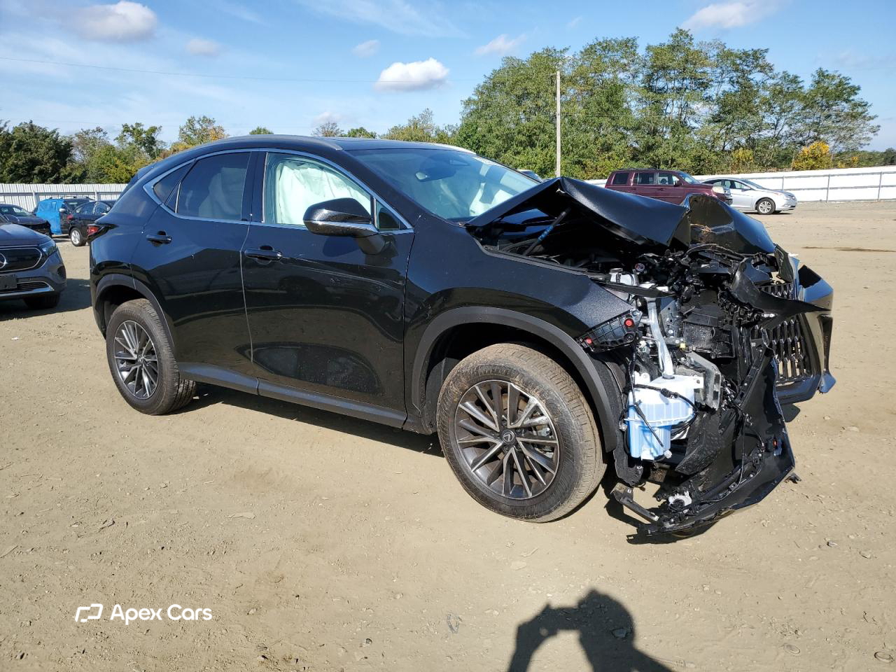 Lexus NX 2025
