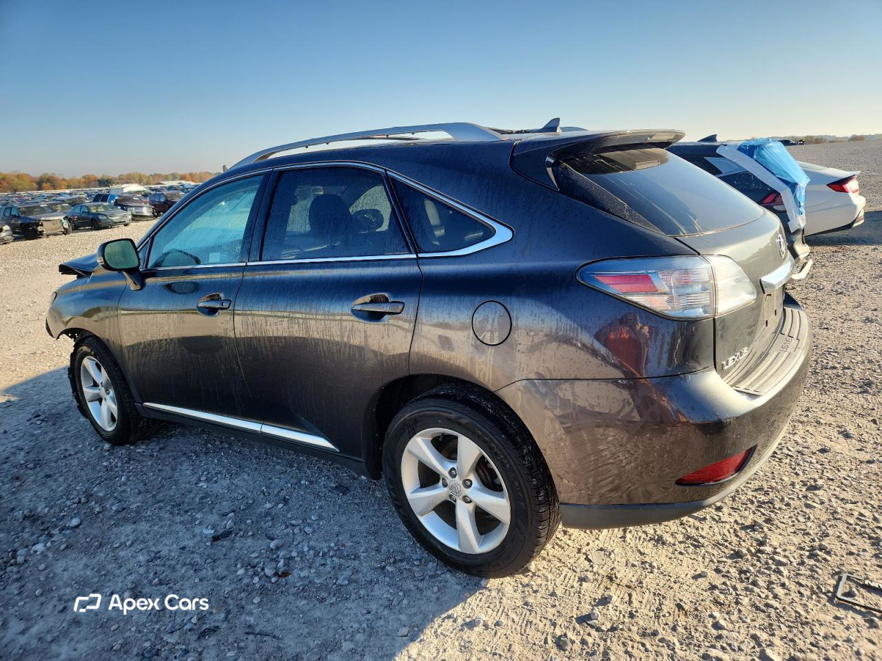 Lexus RX 2010