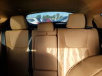Lexus NX 2024
