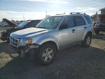 Ford Escape 2011