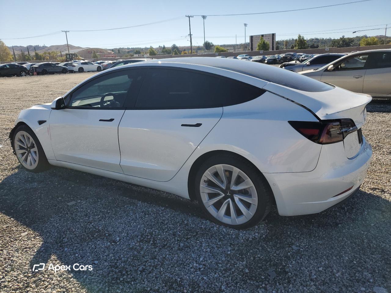 Tesla Model 3 2021