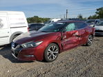 Maxima 2016