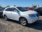 Lexus RX 2010
