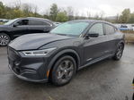 Ford Mustang Mach-E 2022