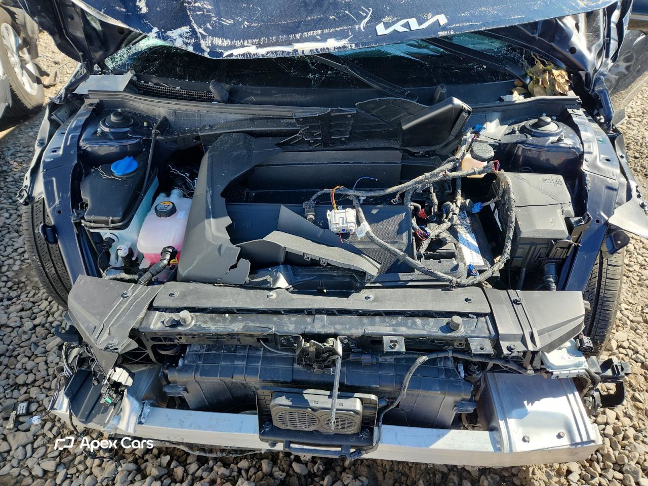 Kia EV6 2023