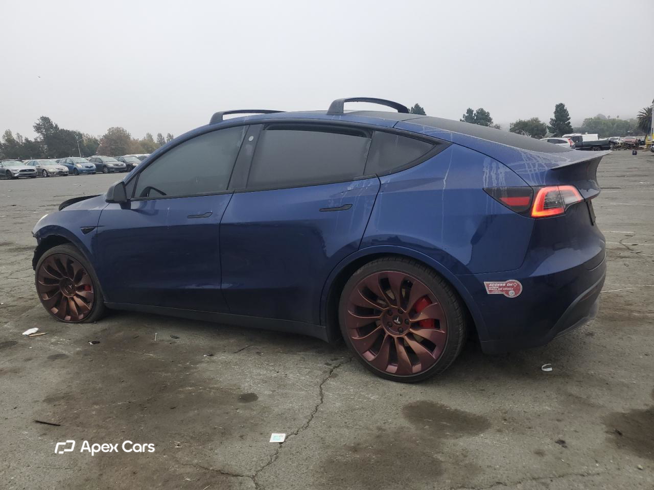 Tesla Model Y 2021