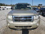 Ford Escape 2011