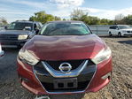 Maxima 2016