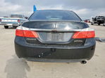 Honda Accord 2013
