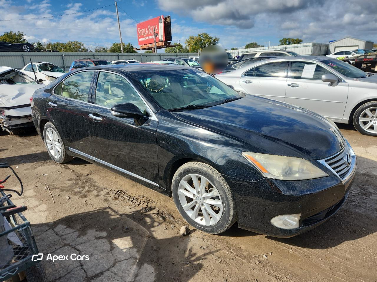 Lexus ES 2010