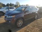 Kia Sorento 2011