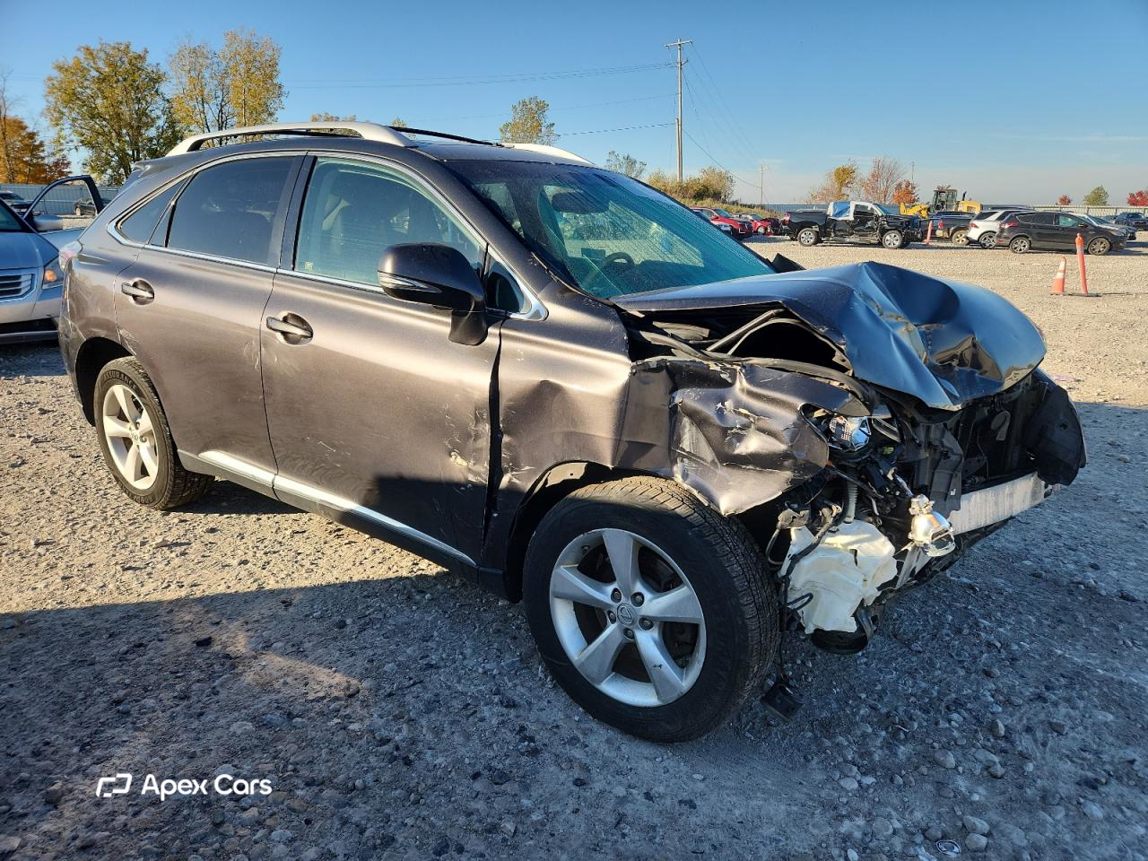 Lexus RX 2010
