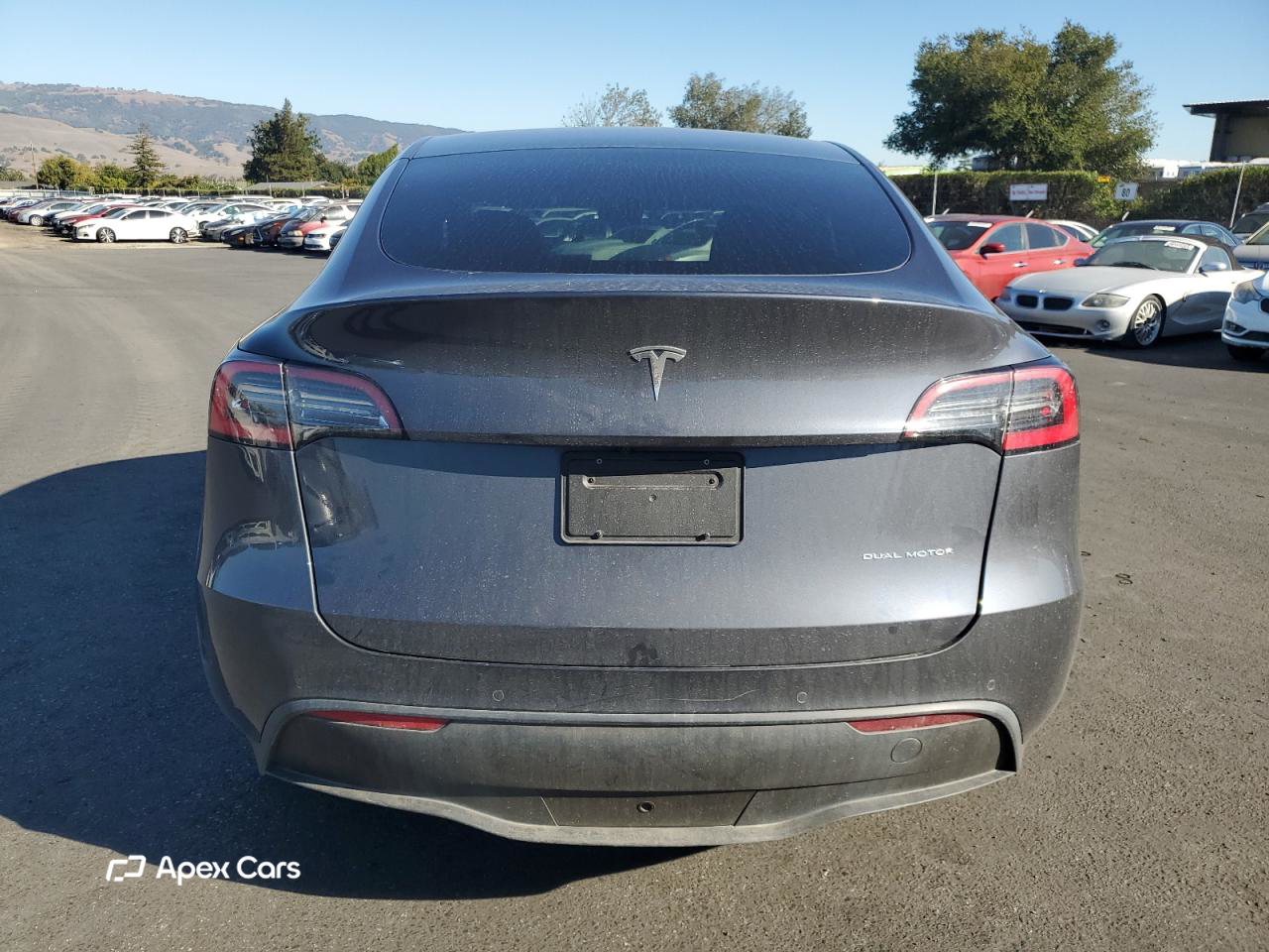Tesla Model Y 2020