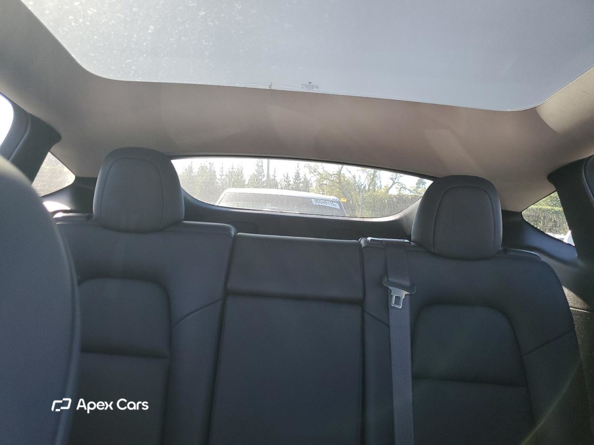 Tesla Model Y 2020