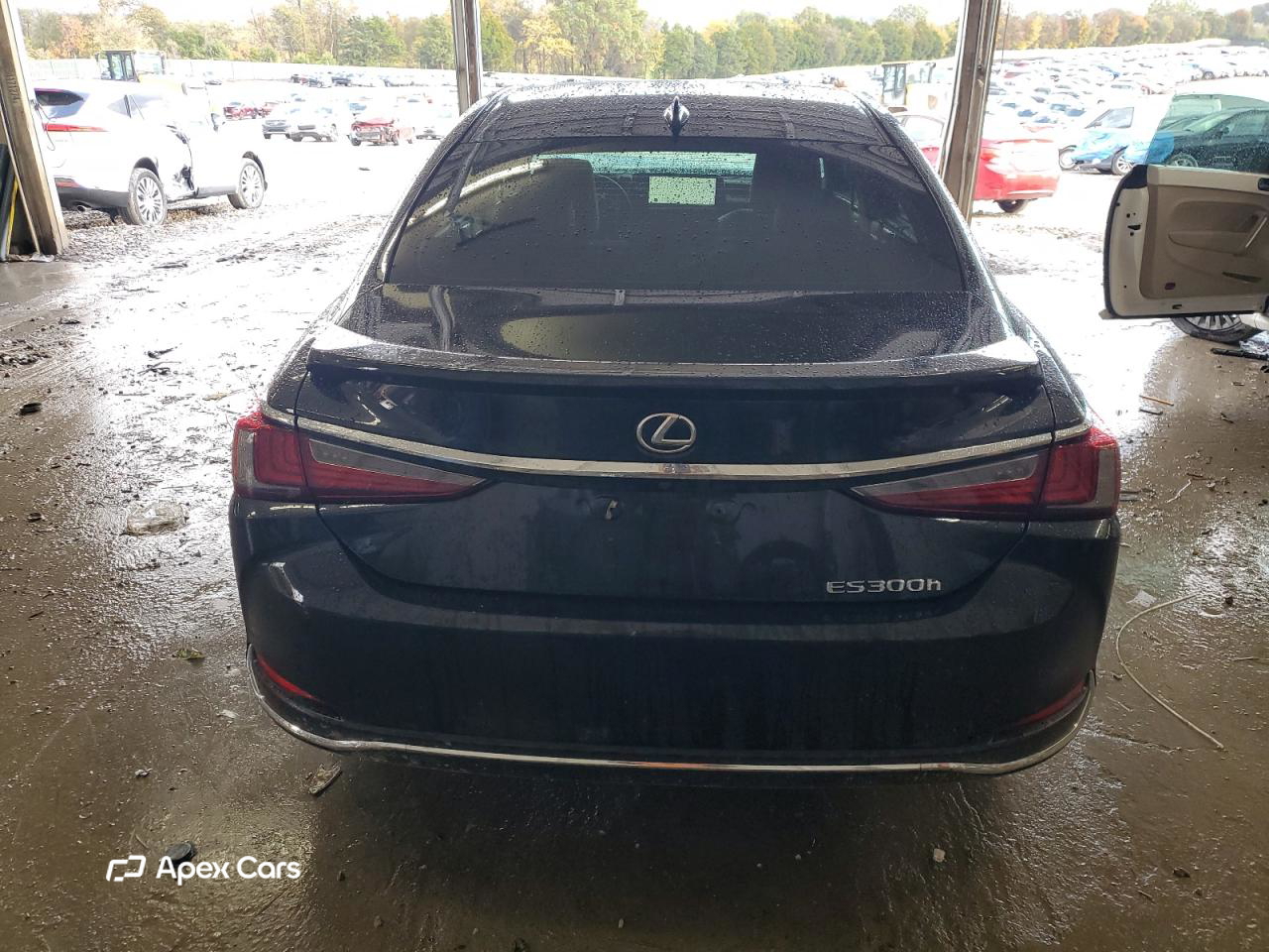 Lexus ES 2024